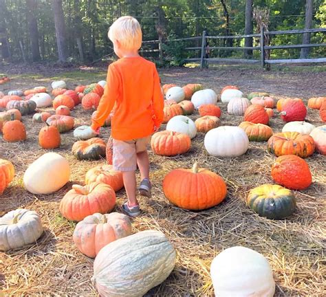 FREE Pumpkin Patches To Visit Enjoying RVA And All It Has To Offer