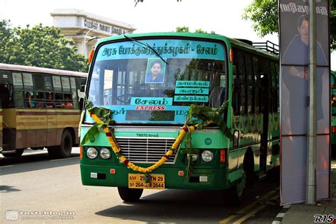 TNSTC Buses