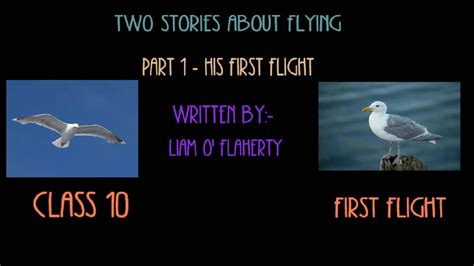 Two Stories About Flying Part His First Flight Liam O Flaherty