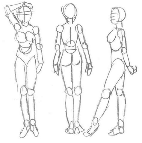 Pin em tips Desenho de observação Desenho Proporções humanas