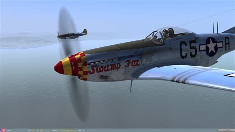 P 51d Swamp Fox