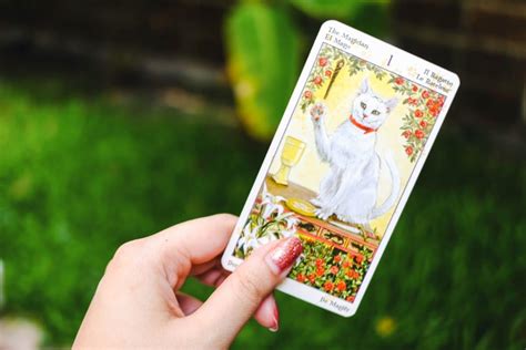 Descubre Los Secretos Ocultos Del Tarot Nunca Antes Revelados