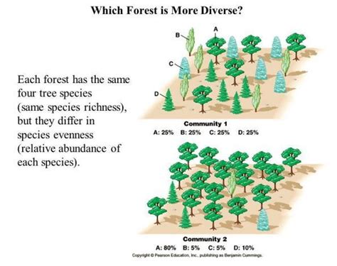 What Are The Three Main Components Of Biodiversity A Species