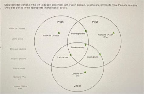 Solved Drag Each Description On The Left To Its Best Pla