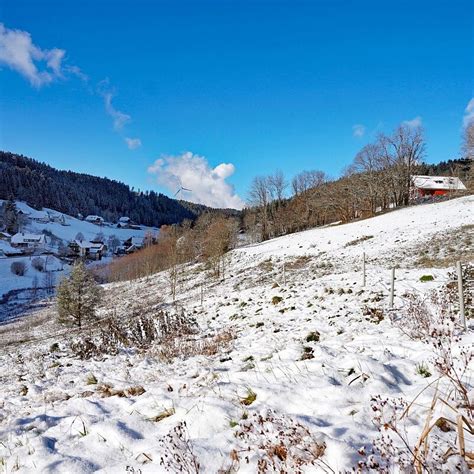 Erster Schnee In Tennenbronn Im Schwarzwald Jahr