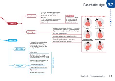 Dipl Me Infirmier Ifsi Cartes Mentales Ue Processus