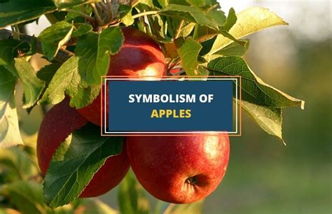 Apple – Symbolism and Meanings - Symbol Sage