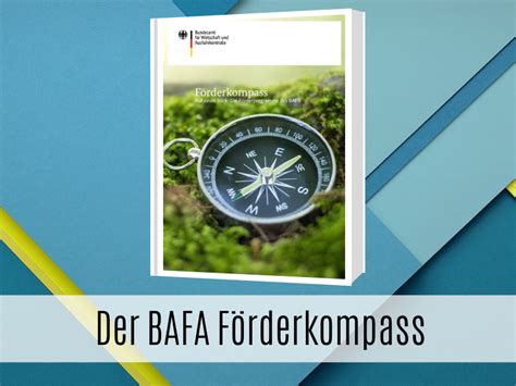 Mit Dem Bafa Förderkompass Zielsicher Zu Ihrem Förderprogramm