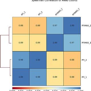 Heatmap Correlation Coefficient Analysis Between Biological Replicates