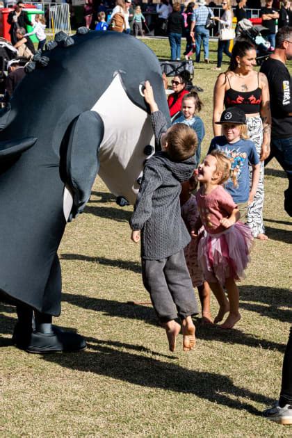 Hervey Bay Whale Festival Is Back With A Big Splash