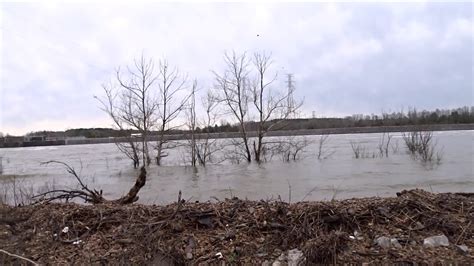 Tennessee River Below Pickwick Dam From Boat Ramp Parking Lot February