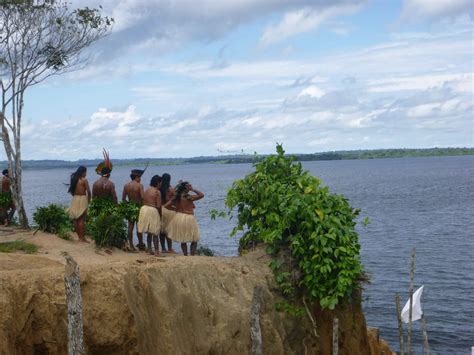 Passeio De Barco Em Manaus Da Interação Com Botos Ao Encontro Das Águas Viajante Curioso