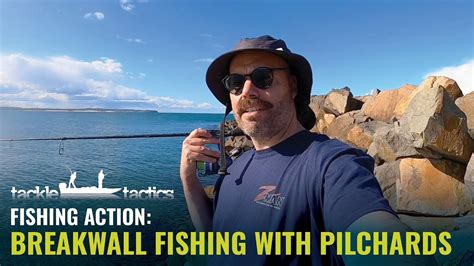 Breakwall Fishing With Pilchards For Tailor Australian Salmon And