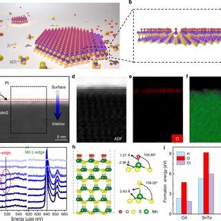 Low Temperature Growth Mechanism Of The Biocl Assisted Cvd Method A