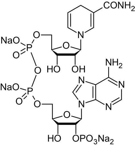 NADPH, Coenzyme (ab146317) | Abcam