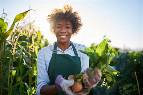 Call For Expression Of Interest The Waii Facility Support To Female Led Agri Smes Findingxy