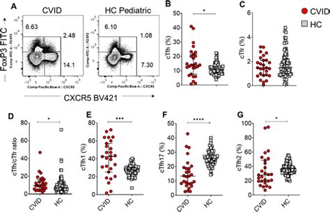 Flow Cytometry Analysis Of Circulating Follicular Helper T Ctfh Cells