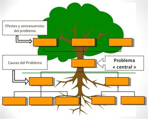 Diagrama De Arbol En Power Point Top Imagen Analisis De