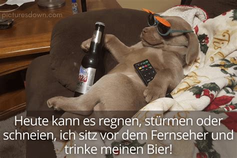 Schönes wochenende bild kostenlos Hund und Bier