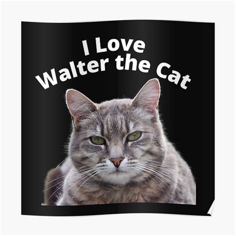 "Walter The Cat I Love Walter The Cat" Poster for Sale by sojasquest2 ...