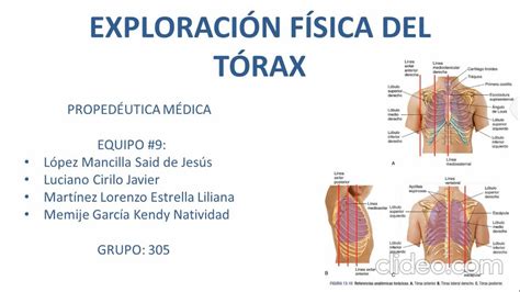 Equipo 9 ExploraciÓn FÍsica Del TÓrax Youtube