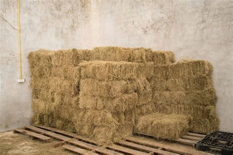 Storing Hay Blog Publisher