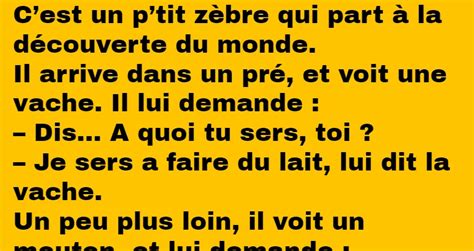 Le Petit Z Bre La D Couverte Du Monde Grands M Res