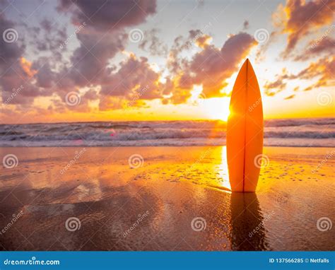 Surfboard On The Beach In Sea Shore At Sunset Time With Beautiful Light