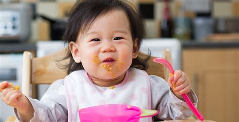 Tudo O Que Você Precisa Saber Sobre A Introdução Alimentar Do Seu Bebê