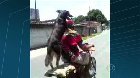 Motociclista leva cachorro na garupa em São João de Meriti Bom Dia