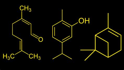 Los Terpenos Y Los Terpenoides Gea Seeds