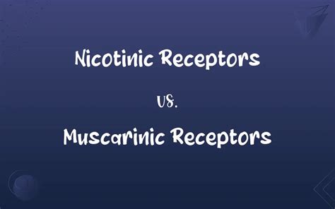 Nicotinic Receptors vs. Muscarinic Receptors: What’s the Difference?