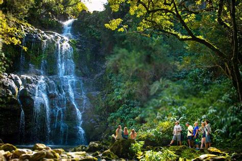 Kohala Waterfall Hiking