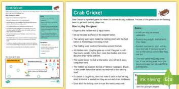 Crab Cricket Indoor Cricket Game Hecho Por Educadores