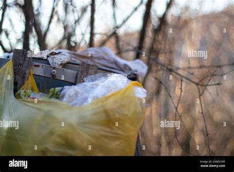 Overflowing Trash Bin With Multiple Trash Bags Around It Problem With