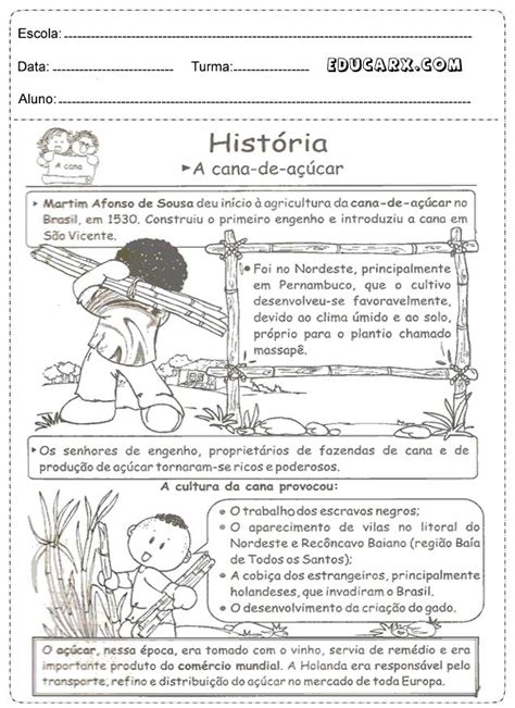 História A cana de açúcar Atividades de história História