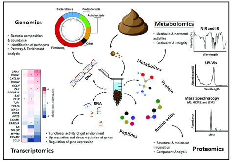 Schematic Diagram Of Information That Can Be Extracted From A Fecal