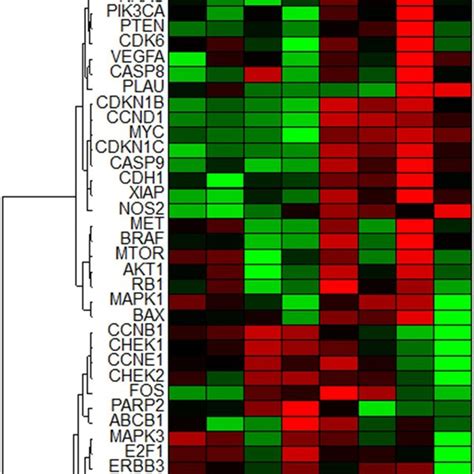 Unsupervised Hierarchical Clustering Analysis Showing The Download Scientific Diagram