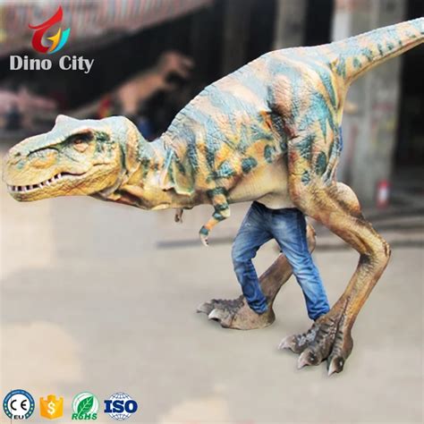 Dorothy The Dinosaur Mascot Costume For Christmas Festival - Buy ...