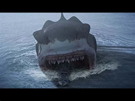 Megalodon Sightings