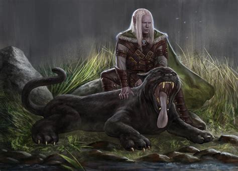 Drizzt and Guenhwyvar by kakakatana on DeviantArt