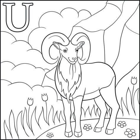 Royalty Free Urial Clip Art, Vector Images & Illustrations - iStock