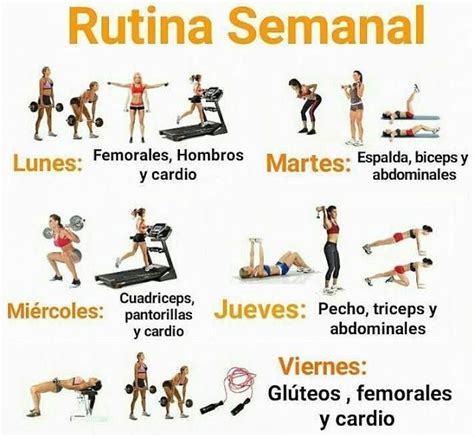 CÓMO ORGANIZAR TU RUTINA SEMANAL EN EL GYM GimnasioEnCasa