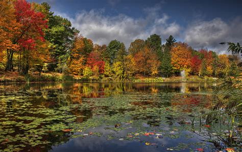 Fonds D Ecran Canada Rivières Automne Québec Sherbrooke Arbres Nature Télécharger Photo