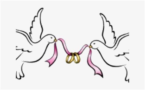 Download High Quality Wedding Bells Clipart Dove Transparent Png Images