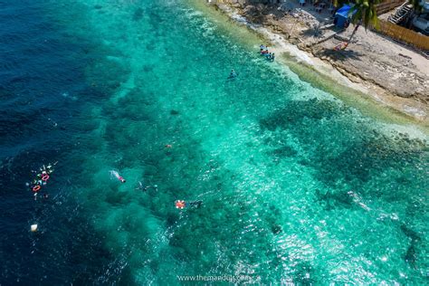 Snorkeling with Moalboal SARDINE RUN at PANAGSAMA beach