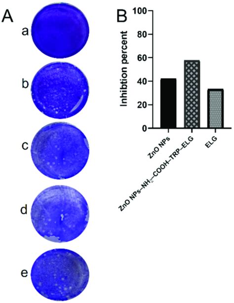 The Virucidal Mechanism And Percent Inhibition Against Coronavirus