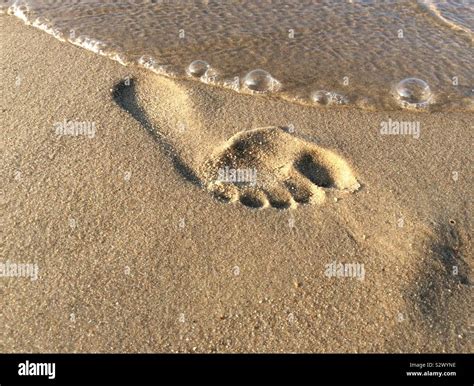 Human Footprint Hi Res Stock Photography And Images Alamy