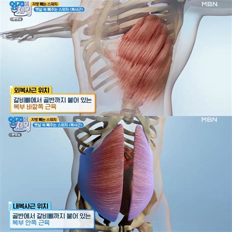 5분만 따라했더니 허리둘레가 줄었습니다 정형외과 의사가 직접 알려주는 이 운동하면 뱃살 싹 사라집니다 라임뉴스