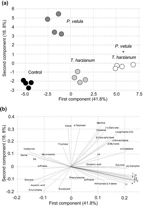 Principal Component Analysis Pca Of Metabolomic Profiles In Maize